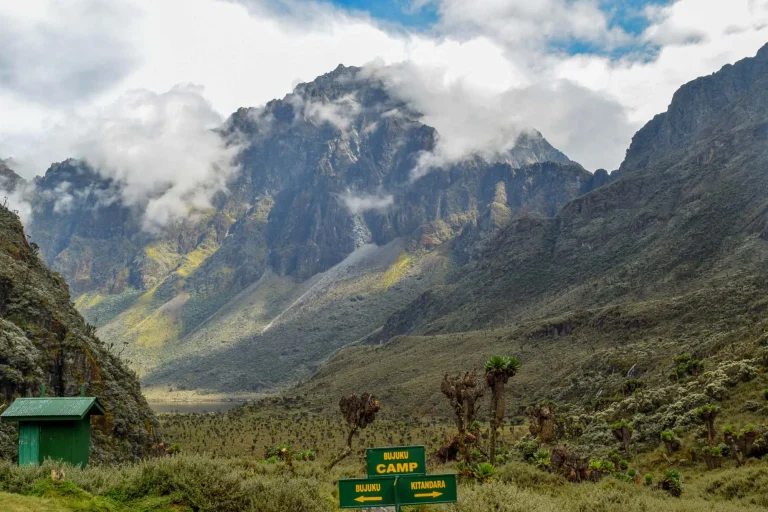7 Days Luxury Trekking Adventure Through The Majestic Rwenzori Mountains