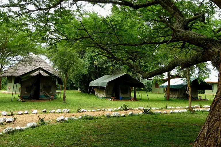 6 Days Trip Budget in Uganda  – Leysam Tours and Travel