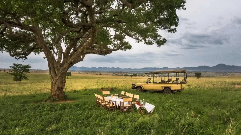 Uncover the Best Treasures in Uganda’s Eastern Frontier, Luxury Package