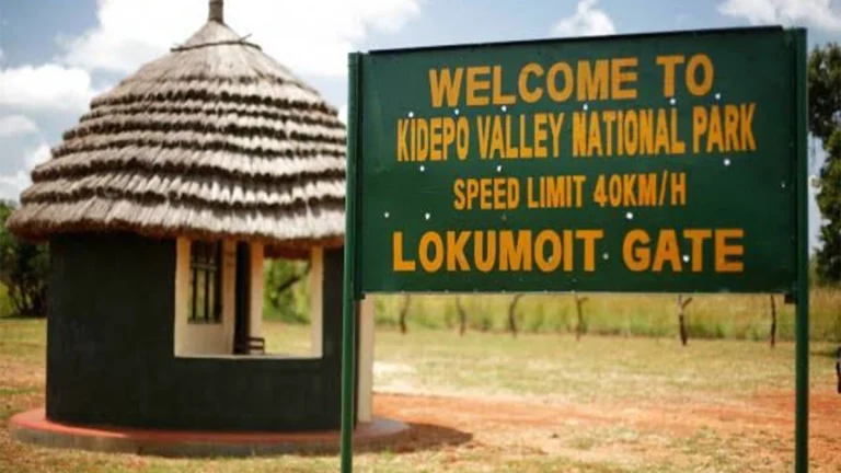 4-Day Best Wilderness Luxury Safari: Kidepo Valley National Park