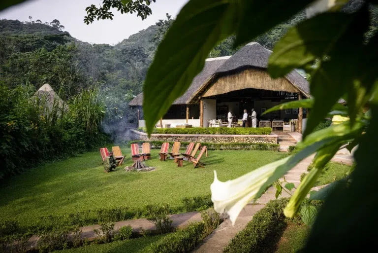 6-Day Ultimate Gorilla and Chimp Luxury Safari